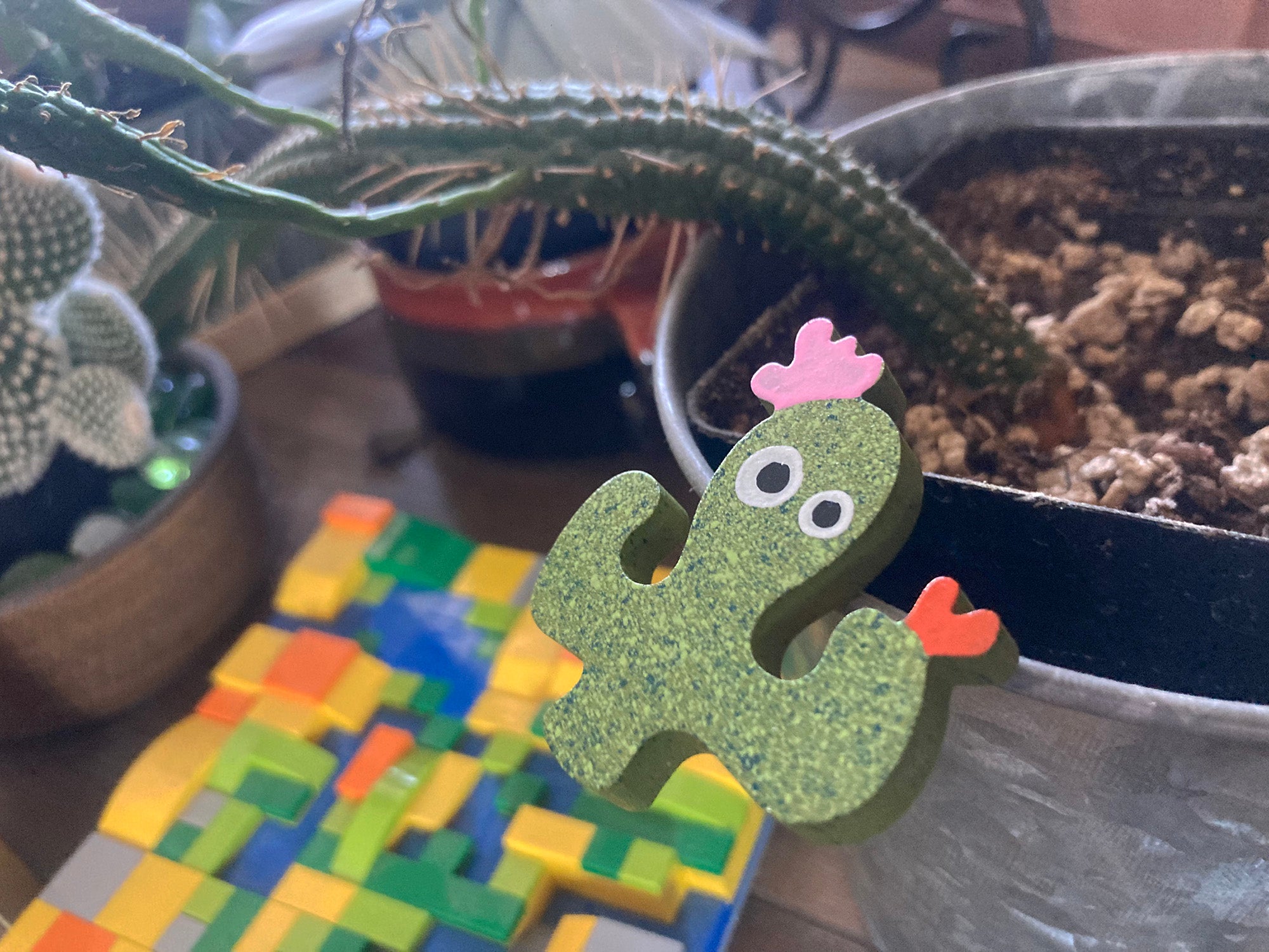 Lucky Cactus Magnet 4-Pack